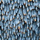 Angel Feather - The Blue