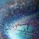 Cosmic Harmony