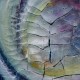 Whirl